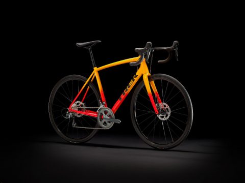 美しいグラデーション!Emonda ALR4 Disc入荷